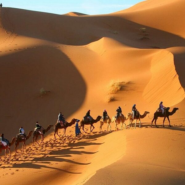 Sahara Desert Tours | Shared Shara Desert Tours | Desert Tour from ...